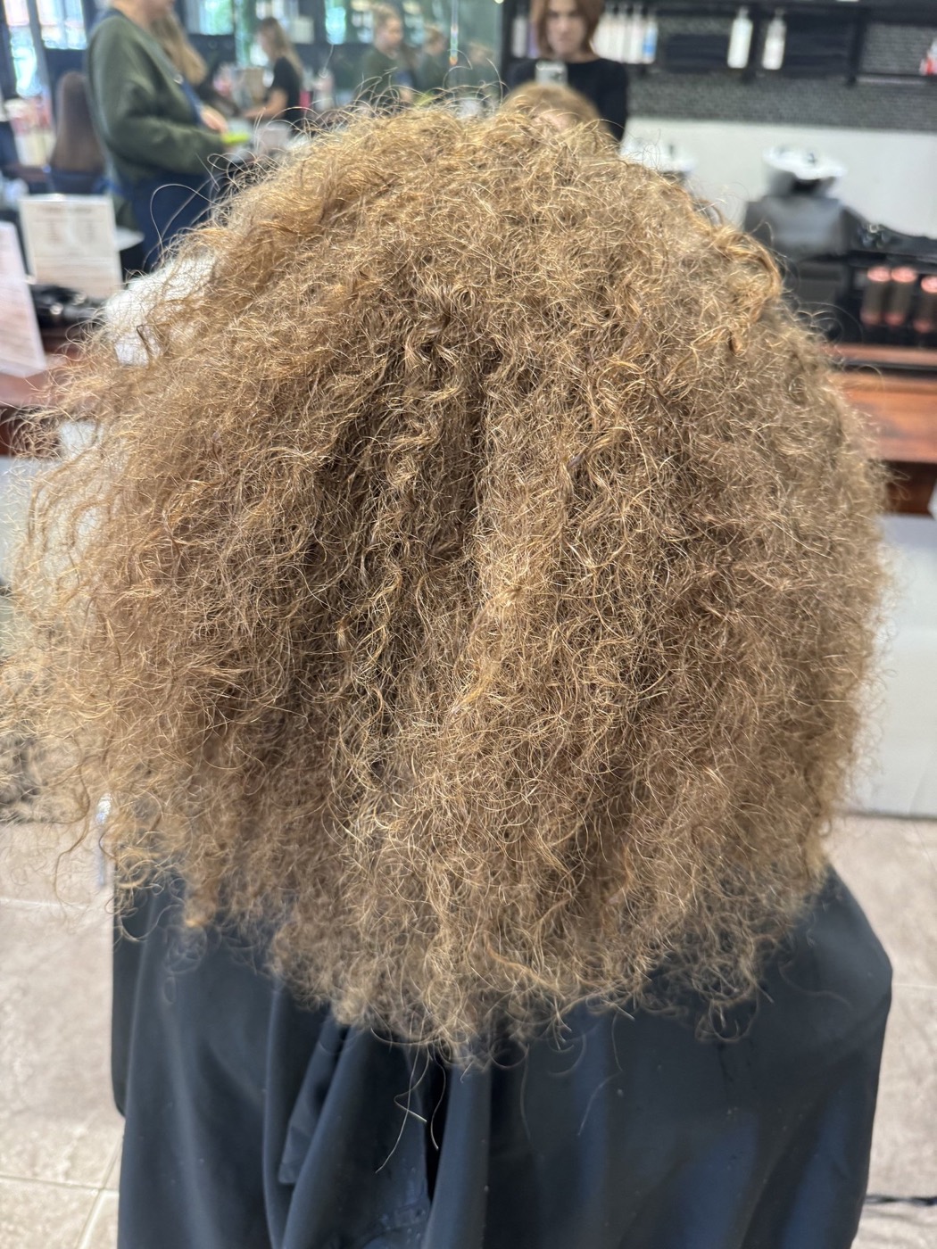 Hair before the treatment — dry and frizzy
